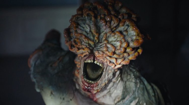 Por que o apocalipse zumbi se recusa a morrer?