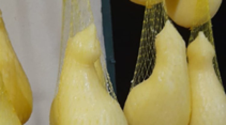Queijo Cabacinha: Patrimônio Cultural e Imaterial do Estado de Minas Gerais